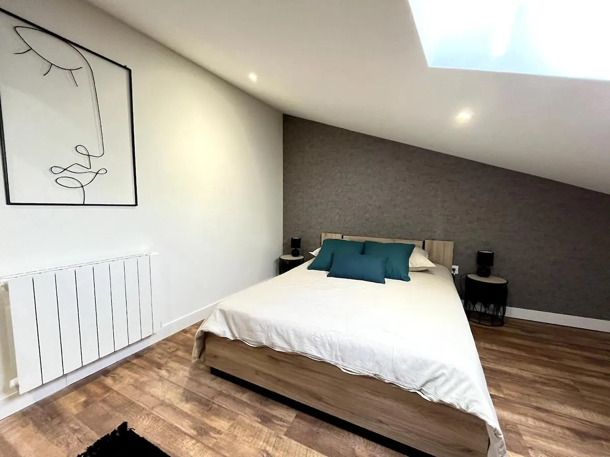 L'Epicea - 3 Chambres Valence Centre Apartment