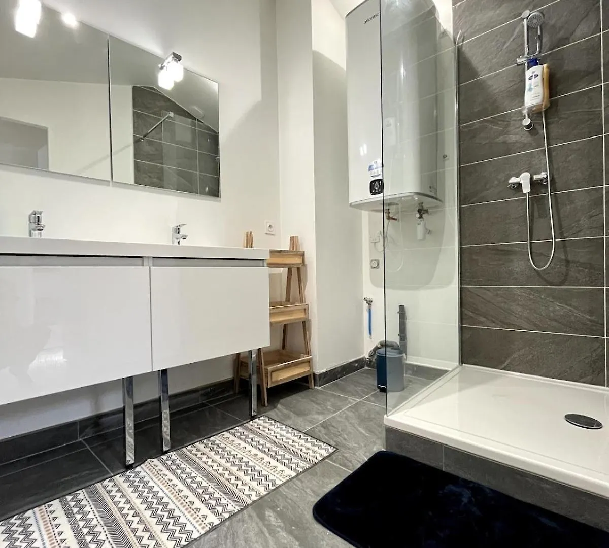 L'Epicea - 3 Chambres Valence Centre Apartment